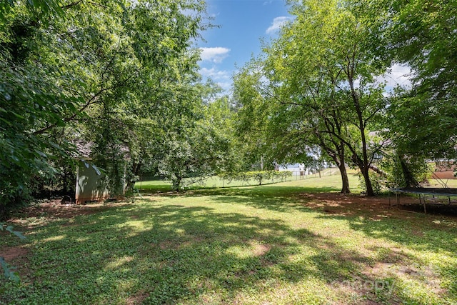 1318 Enderly Rd, Charlotte, NC 28208 - photo 4