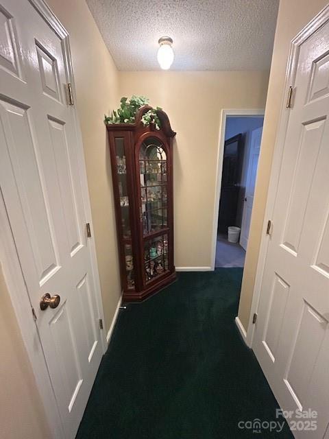 3616 Raven Hill Dr, Gastonia, NC 28056 - photo 24