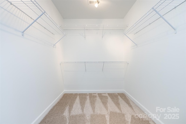 4723 Polo Gate Blvd, Charlotte, NC 28216 - photo 20