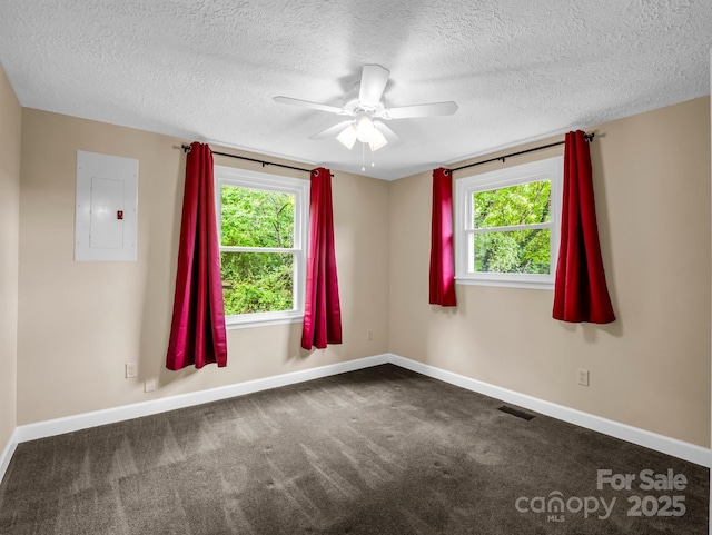 1320 Little Mountain Rd, Columbus, NC 28722 - photo 19