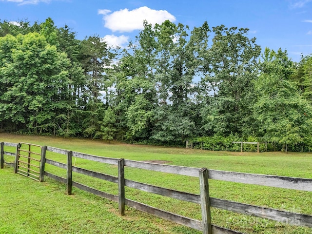 1320 Little Mountain Rd, Columbus, NC 28722 - photo 30