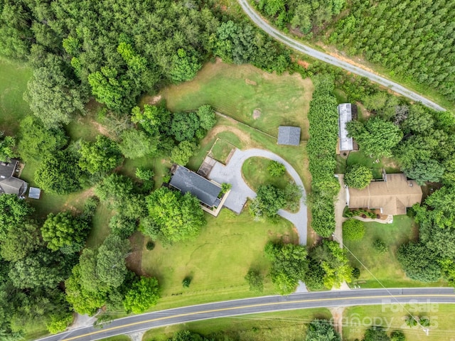 1320 Little Mountain Rd, Columbus, NC 28722 - photo 34
