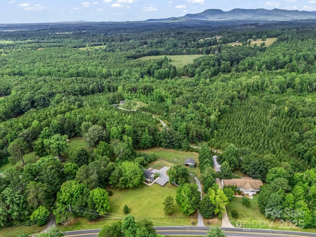 1320 Little Mountain Rd, Columbus, NC 28722 - photo 35