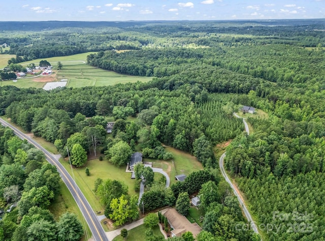 1320 Little Mountain Rd, Columbus, NC 28722 - photo 36