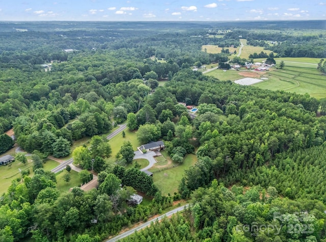 1320 Little Mountain Rd, Columbus, NC 28722 - photo 37
