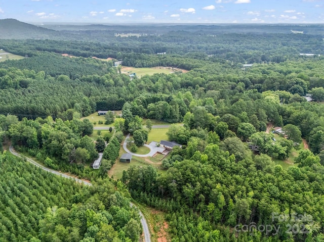 1320 Little Mountain Rd, Columbus, NC 28722 - photo 38