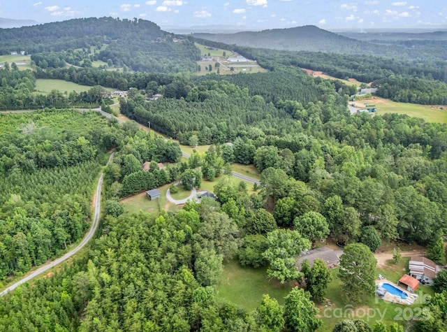 1320 Little Mountain Rd, Columbus, NC 28722 - photo 39