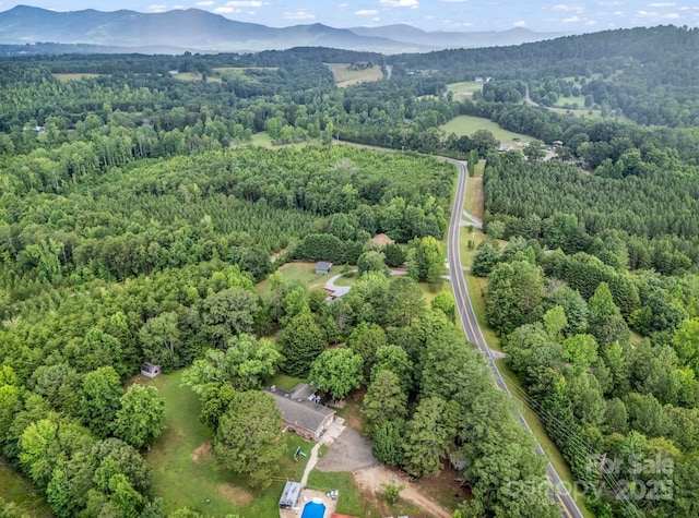 1320 Little Mountain Rd, Columbus, NC 28722 - photo 40