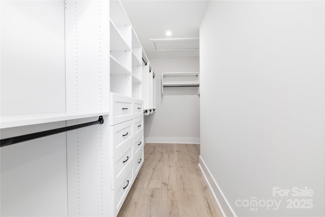 4114 Mantle Ct, Charlotte, NC 28205 - walk in closet featuring light wood-style flooring and attic access