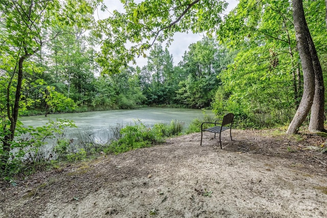 127 Tranquil Ct Unit 18A, Locust, NC 28097 - water view with a heavily wooded area