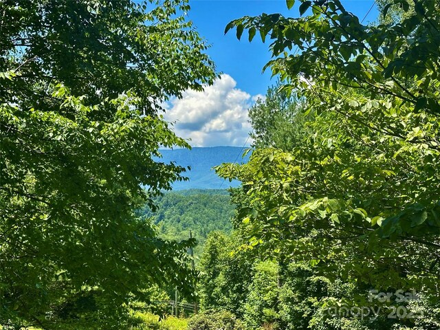572 Blue Ridge Rd, Spruce Pine, NC 28777 - photo 3