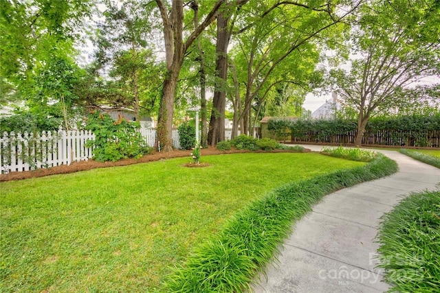 156 Union St N, Concord, NC 28025 - view of yard