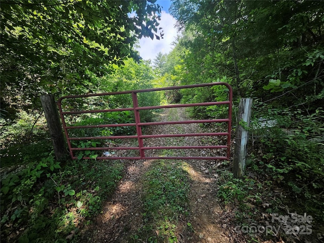 000 Bald Mountain Rd, Burnsville, NC 28714 - photo 2