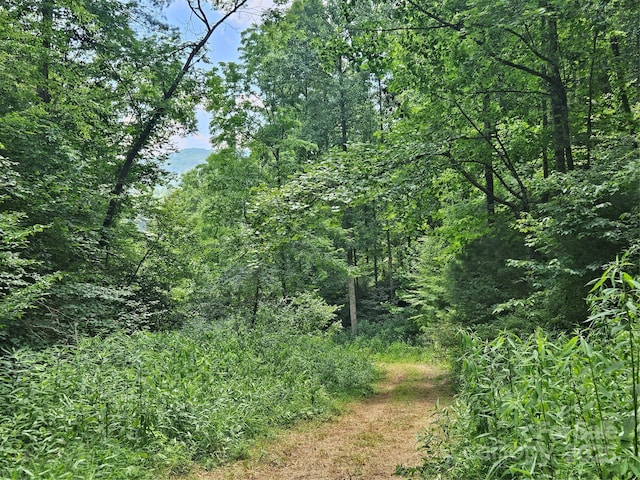 000 Bald Mountain Rd, Burnsville, NC 28714 - photo 3