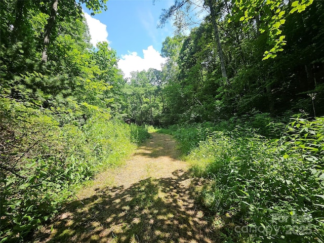 000 Bald Mountain Rd, Burnsville, NC 28714 - photo 4