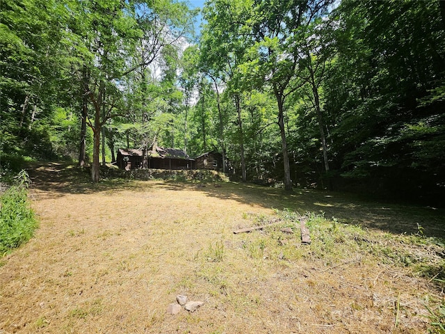 000 Bald Mountain Rd, Burnsville, NC 28714 - photo 6