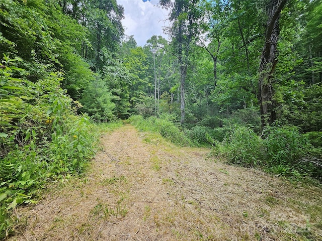 000 Bald Mountain Rd, Burnsville, NC 28714 - photo 14