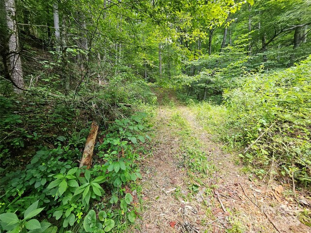 000 Bald Mountain Rd, Burnsville, NC 28714 - photo 15