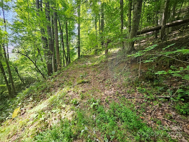 000 Bald Mountain Rd, Burnsville, NC 28714 - photo 16