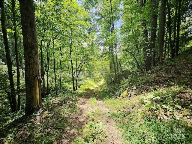 000 Bald Mountain Rd, Burnsville, NC 28714 - photo 17