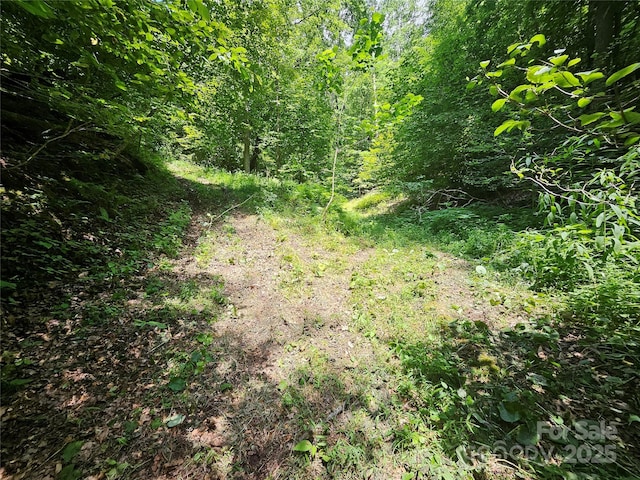 000 Bald Mountain Rd, Burnsville, NC 28714 - photo 20