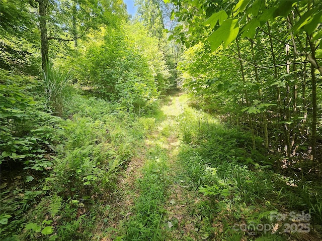 000 Bald Mountain Rd, Burnsville, NC 28714 - photo 22