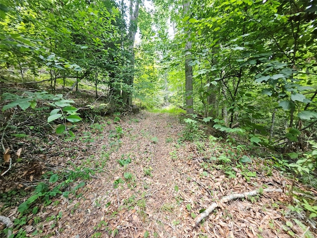 000 Bald Mountain Rd, Burnsville, NC 28714 - photo 23