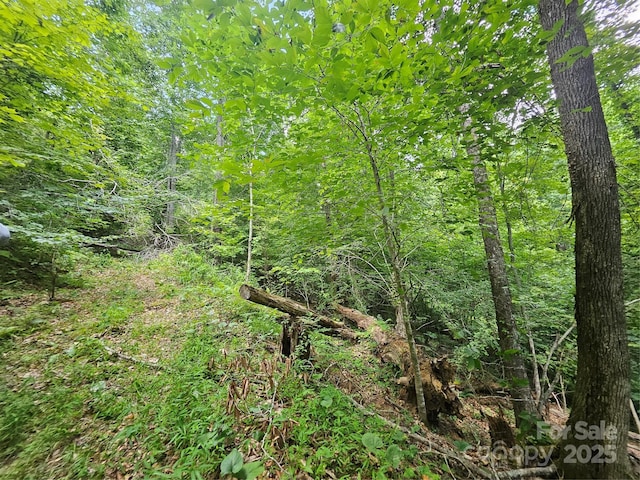000 Bald Mountain Rd, Burnsville, NC 28714 - photo 24