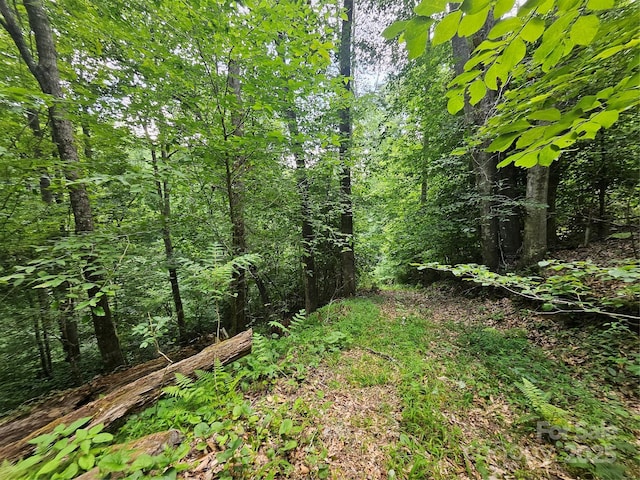 000 Bald Mountain Rd, Burnsville, NC 28714 - photo 25