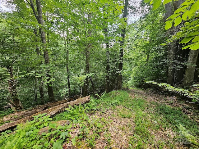 000 Bald Mountain Rd, Burnsville, NC 28714 - photo 26