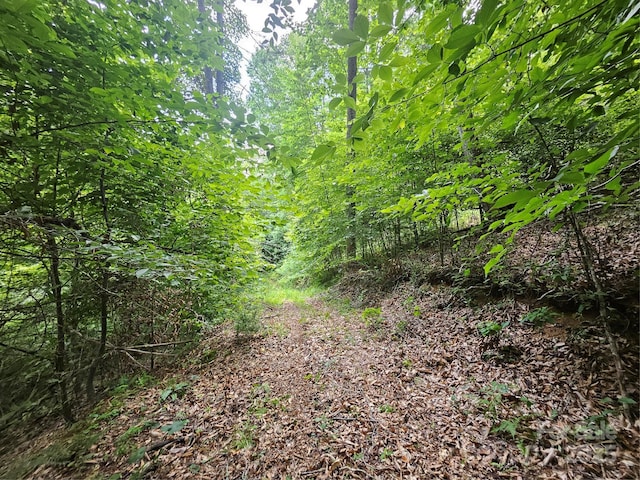 000 Bald Mountain Rd, Burnsville, NC 28714 - photo 27