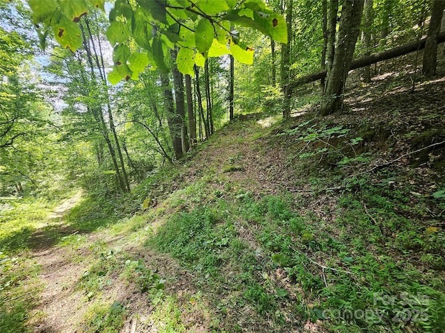 000 Bald Mountain Rd, Burnsville, NC 28714 - photo 28