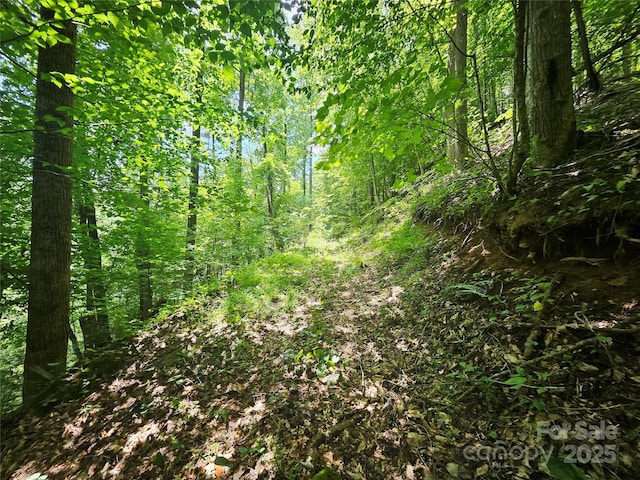 000 Bald Mountain Rd, Burnsville, NC 28714 - photo 29