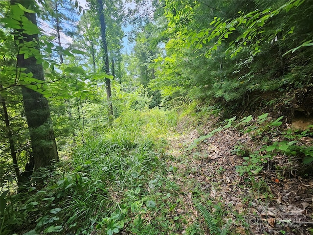 000 Bald Mountain Rd, Burnsville, NC 28714 - photo 30