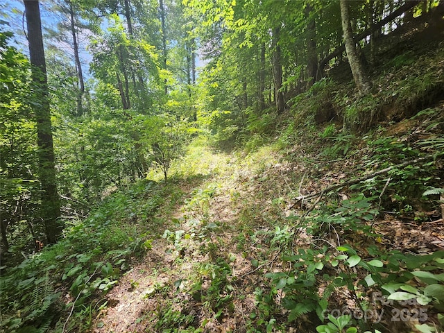 000 Bald Mountain Rd, Burnsville, NC 28714 - photo 31
