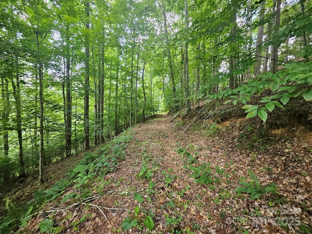 000 Bald Mountain Rd, Burnsville, NC 28714 - photo 33
