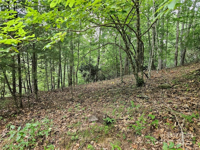 000 Bald Mountain Rd, Burnsville, NC 28714 - photo 34