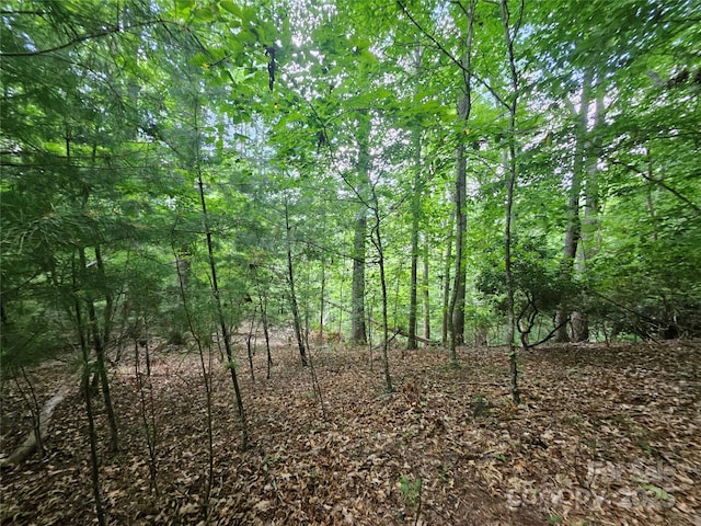000 Bald Mountain Rd, Burnsville, NC 28714 - photo 35
