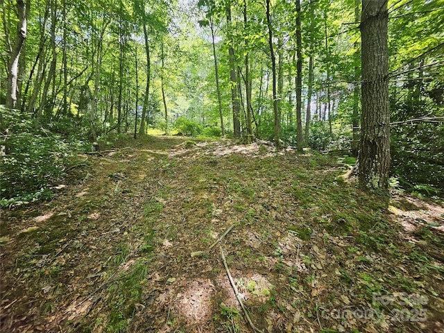 000 Bald Mountain Rd, Burnsville, NC 28714 - photo 36