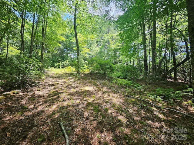 000 Bald Mountain Rd, Burnsville, NC 28714 - photo 37
