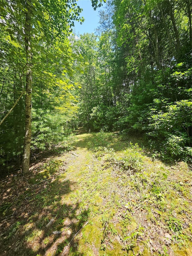 000 Bald Mountain Rd, Burnsville, NC 28714 - photo 38