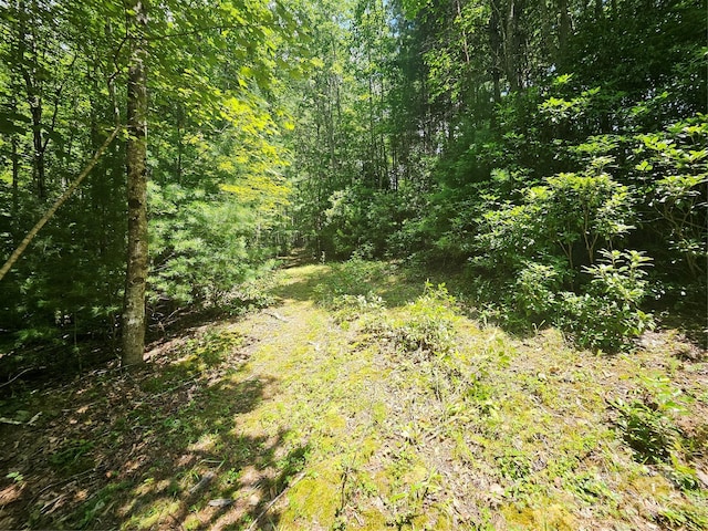 000 Bald Mountain Rd, Burnsville, NC 28714 - photo 39
