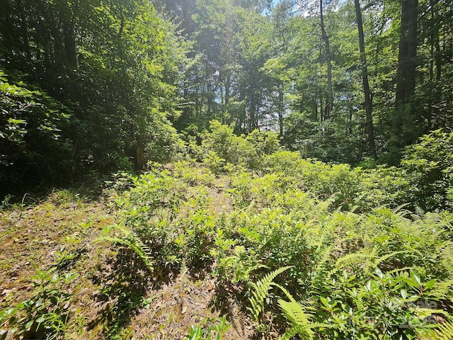 000 Bald Mountain Rd, Burnsville, NC 28714 - photo 40