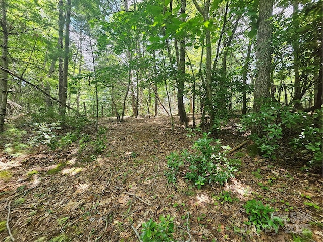 000 Bald Mountain Rd, Burnsville, NC 28714 - photo 41