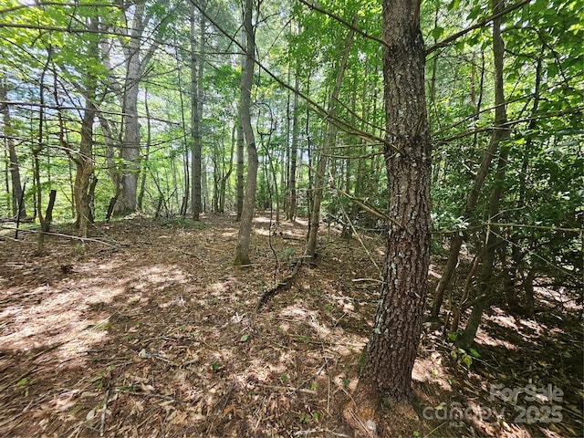 000 Bald Mountain Rd, Burnsville, NC 28714 - photo 42