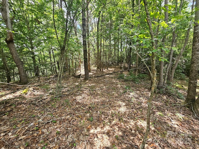 000 Bald Mountain Rd, Burnsville, NC 28714 - photo 43