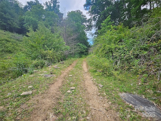 000 Bald Mountain Rd, Burnsville, NC 28714 - photo 45