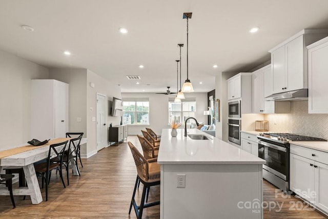 932 Portrush Ln, Tega Cay, SC 29708 - kitchen featuring stainless steel appliances, under cabinet range hood, a kitchen island with sink, light countertops, and wood finished floors