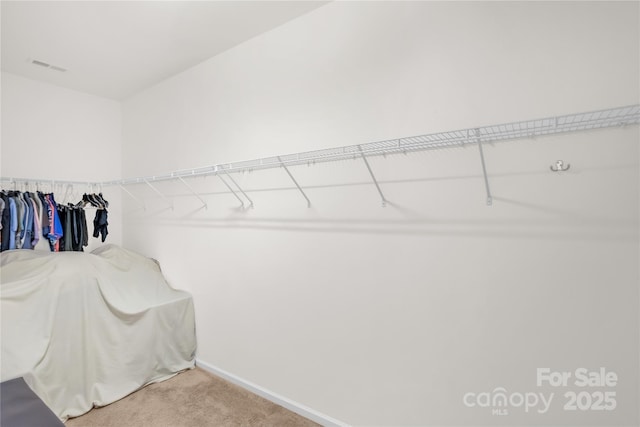 13516 Mallard Lake Rd, Charlotte, NC 28262 - photo 30
