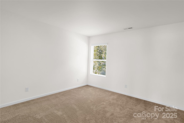 13516 Mallard Lake Rd, Charlotte, NC 28262 - photo 39